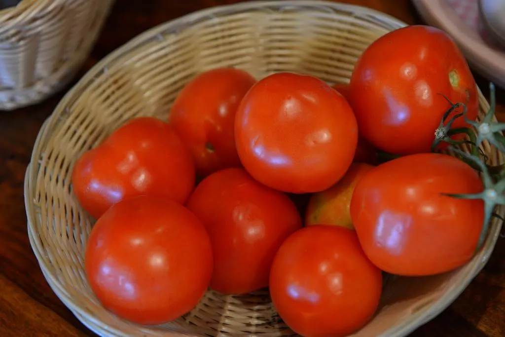 B&B Antiche Mura 푸에냐고 이탈리아